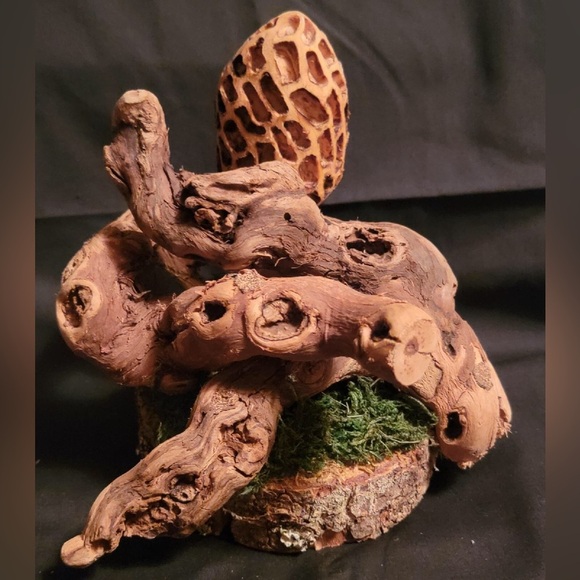 Rustic Morel Mushroom Wood Burned Sculpture - Picture 2 of 2